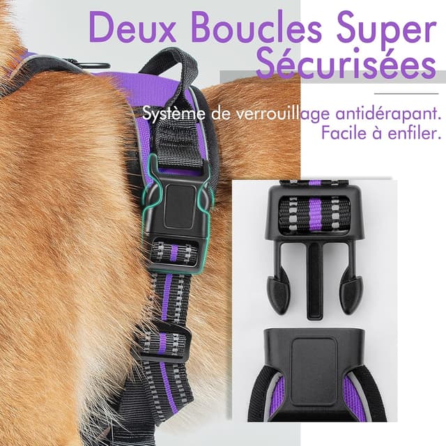 Thumbnail 5 de rabbitgoo Harnais Chien Anti Traction Violet XS