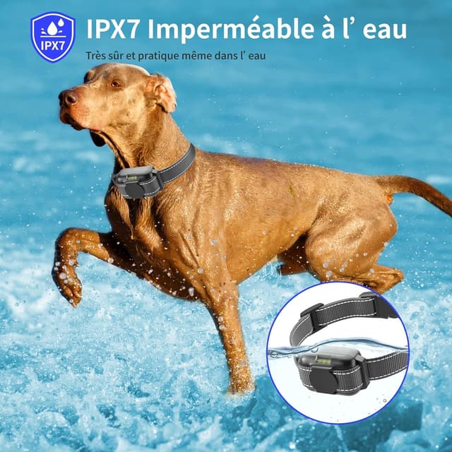 Detalle 2 de Collier de dressage chien avec télécommande