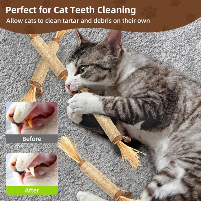 Detalle 2 de Hnjindong cat chew dental sticks with silvervine (large) for indoor cats