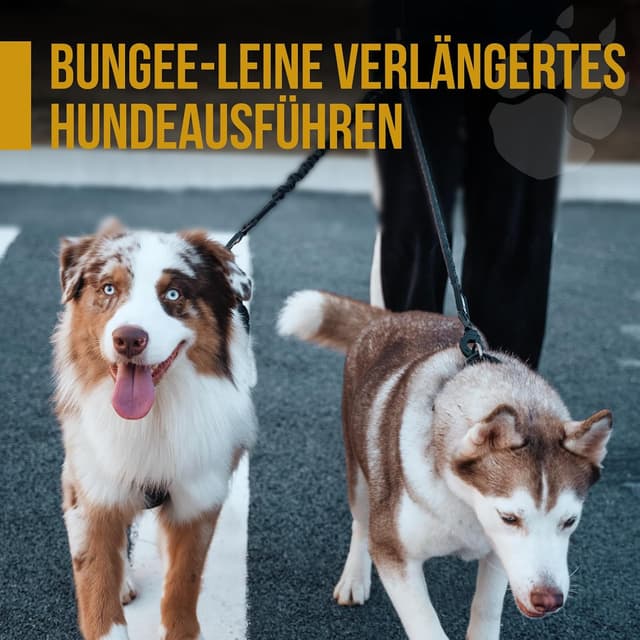 Thumbnail 6 de OneTigris amortisseur pour chien 51 cm : laisse en nylon avec rallonge réfléchissante