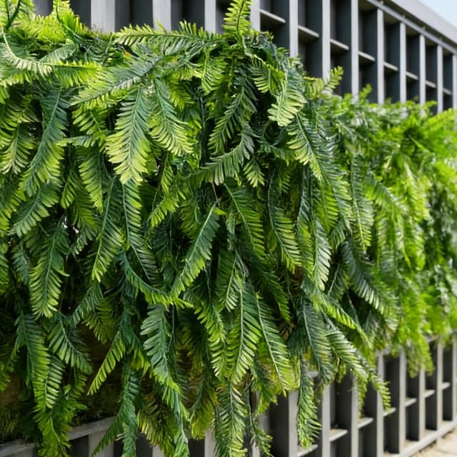 Thumbnail 4 de Plantes artificielles tombantes fougère 8 pièces