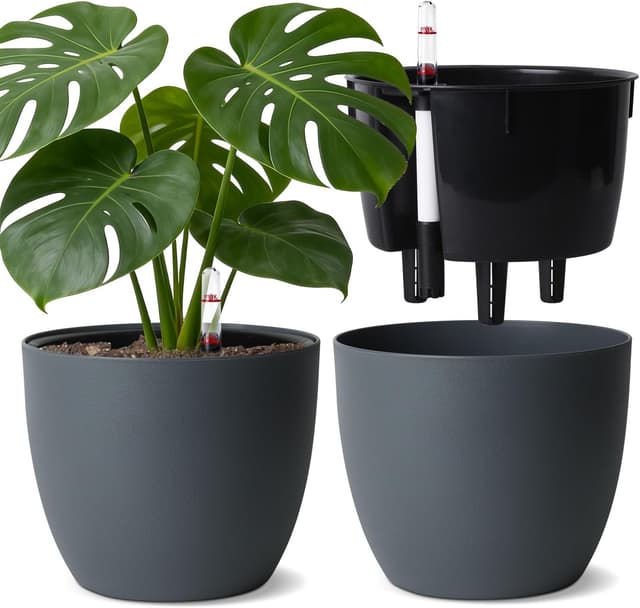 Detalle de T4U 2er Selbstbewässerungstopf 20 cm