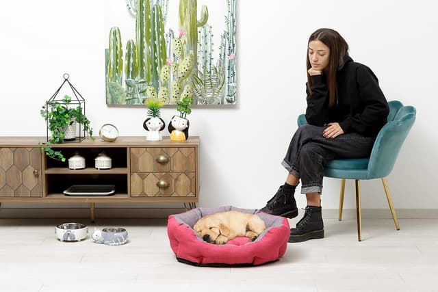 Thumbnail 4 de Baroni Home Cuccia in tessuto Taglia L 50x65 cm