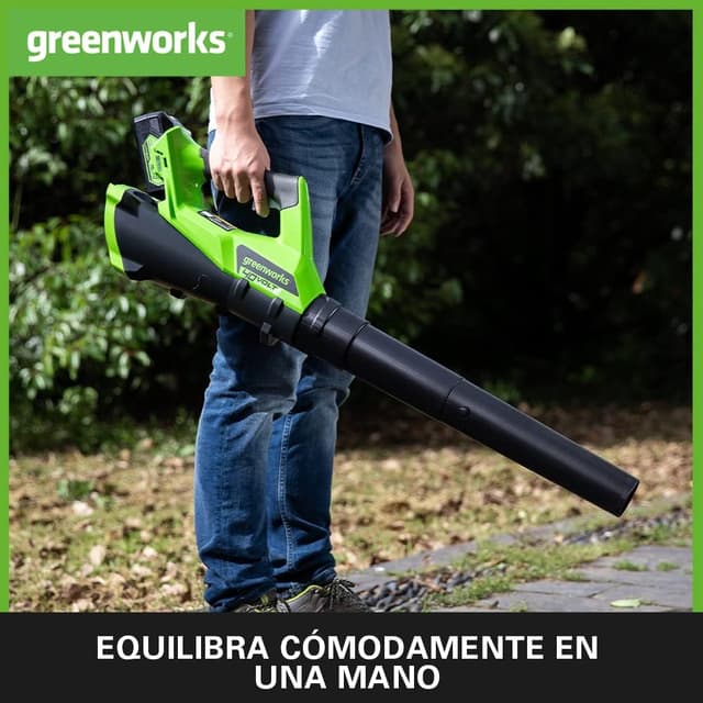 Detalle 2 de Greenworks Tools G40AB 🌀 Soplador de Hojas a Batería, 177 km/h
