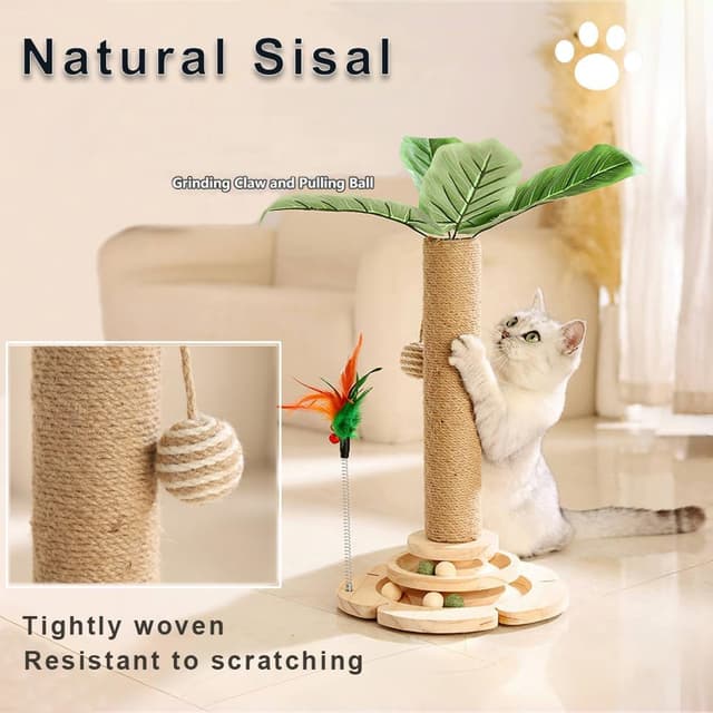 Thumbnail 2 de Marchul 5 in 1 Cat Toys