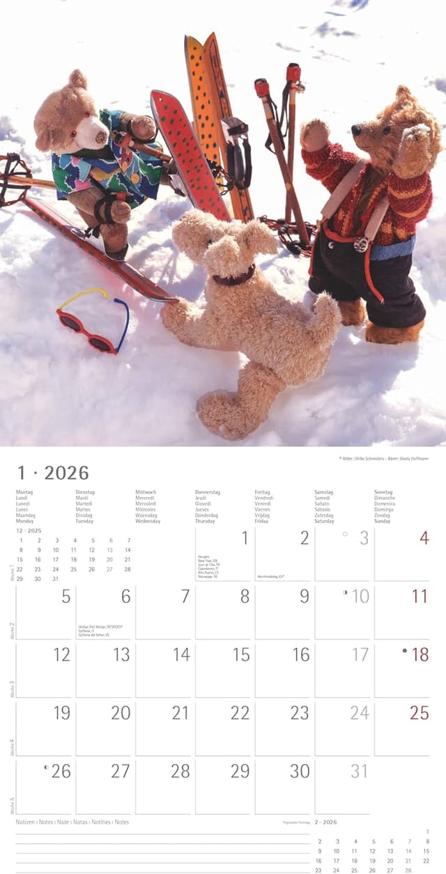 Thumbnail 2 de Alpha Edition Teddy Kalender 2026 30×30 cm