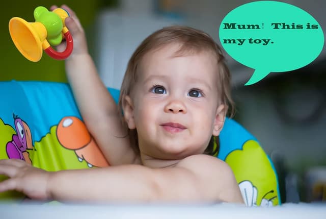 Detalle 2 de fiouni Baby Rattles Teether Set, 11 PCS