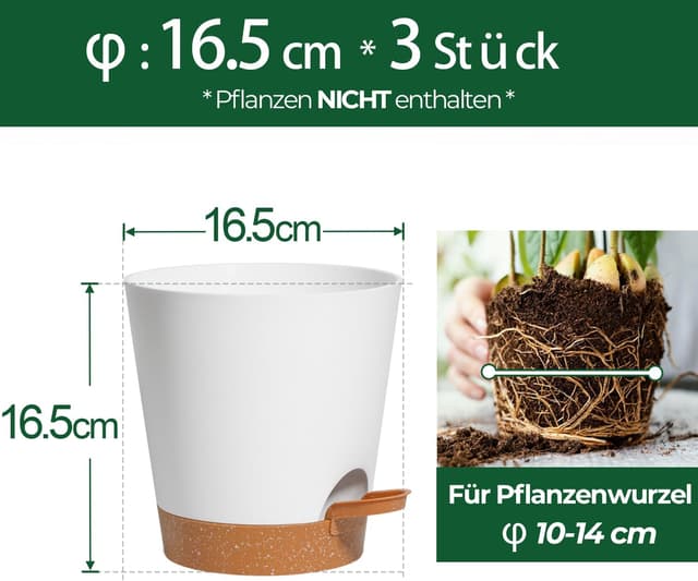 Detalle de T4U set da 3 vasi autoirriganti da esterno/interno 16,5 cm (bianchi) con sottovasi e corda in cotone