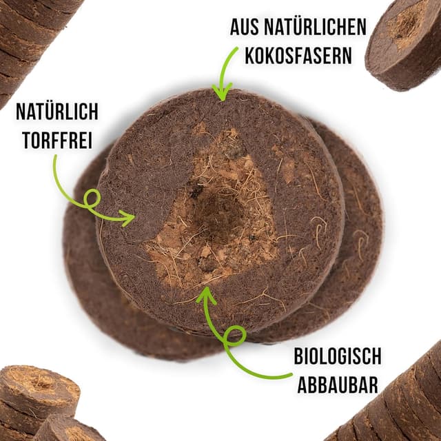 Detalle de Bellhorn Kokos Quelltabletten 36 mm Anzucht