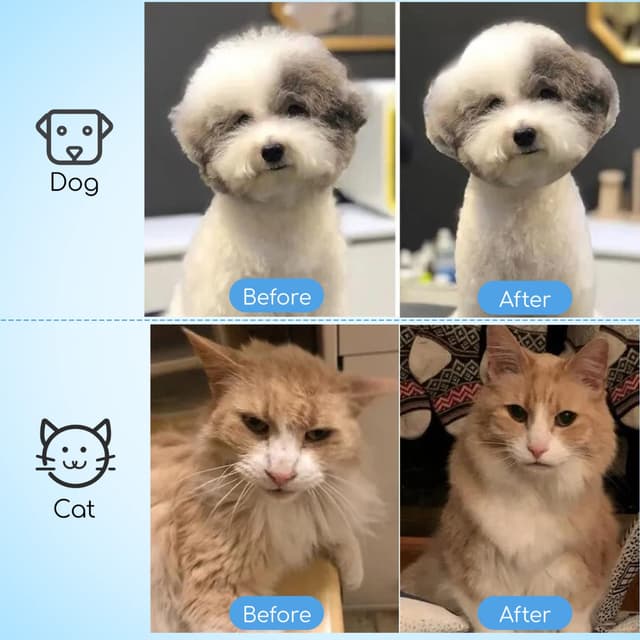 Thumbnail 6 de Hundebürste für Langhaar und Kurzhaar 1 Stück