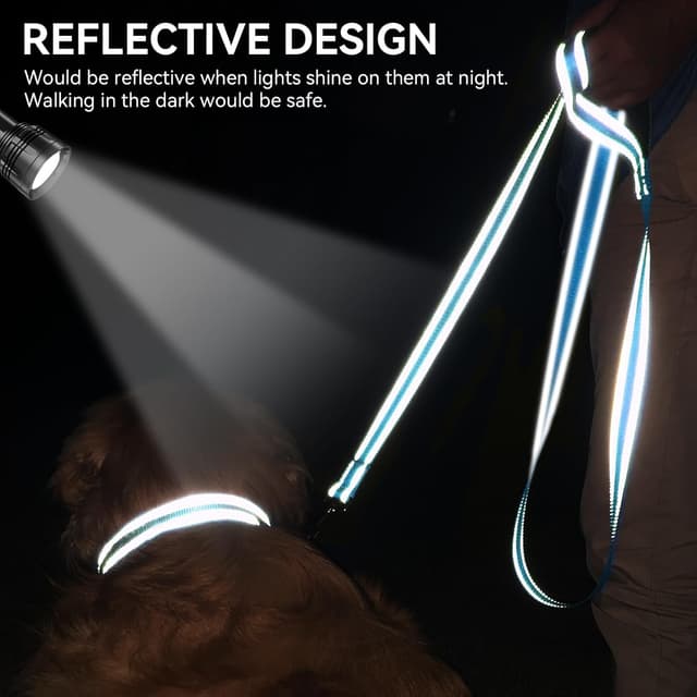 Detalle 2 de Joytale Padded Handle Dog Lead with Double-Sided Reflective Nylon (SkyBlue)