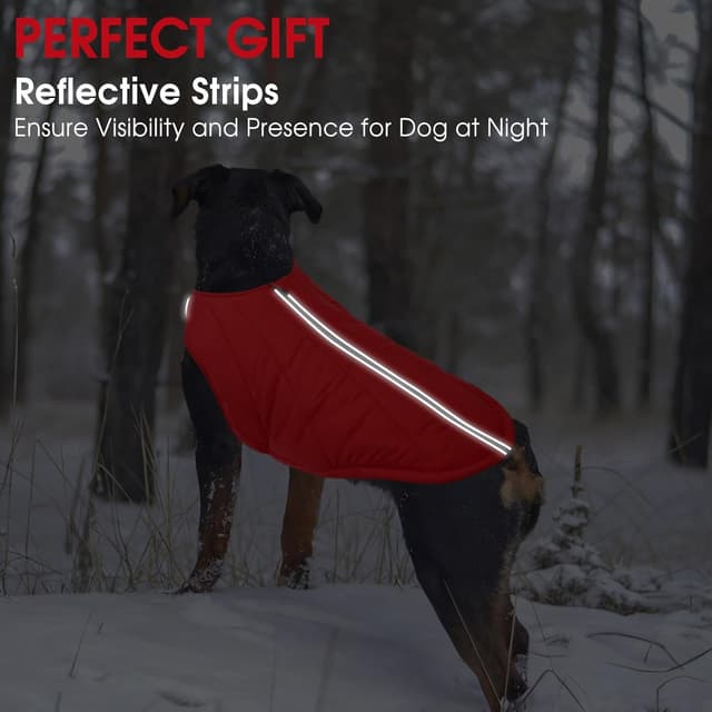 Detalle de CITÉTOILE Hundejacke wasserdichter Hundemantel mit reflektierenden Streifen, Wintermantel mit Reißverschluss (Rot, M)