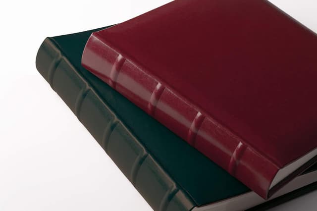 Detalle de walther design Fotoalbum Classic FA-371-R in weinrot (26 x 25 cm) mit erhabenen Bünden