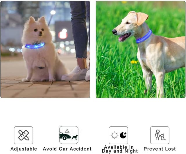 Thumbnail 6 de MASBRILL Luminous Dog Collar 1 size LED