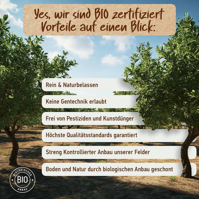 Thumbnail 6 de Soena Arganöl Bio 100ml