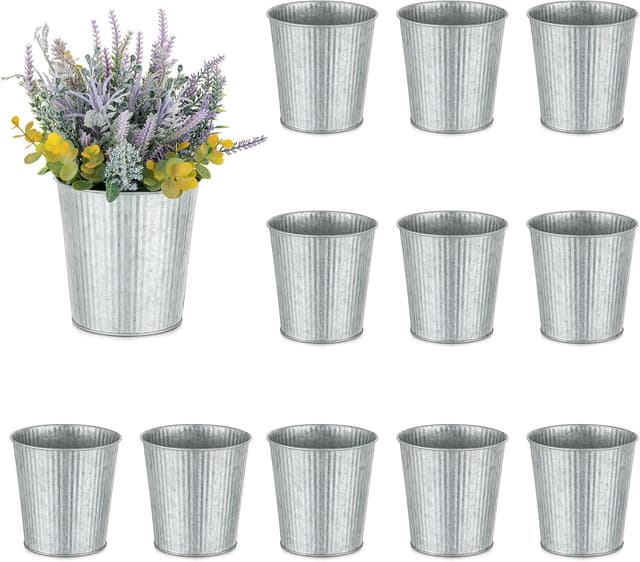 Imagen de NUPTIO 13 cm Rustic Metal Planters 12 Pack en OfertitasTOP