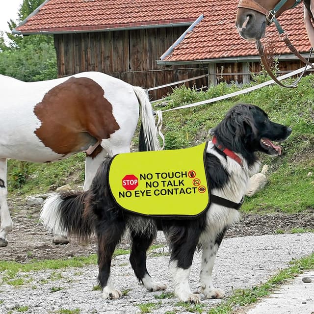 Thumbnail 5 de No Eye Contact Dog Jacket Vest Medium