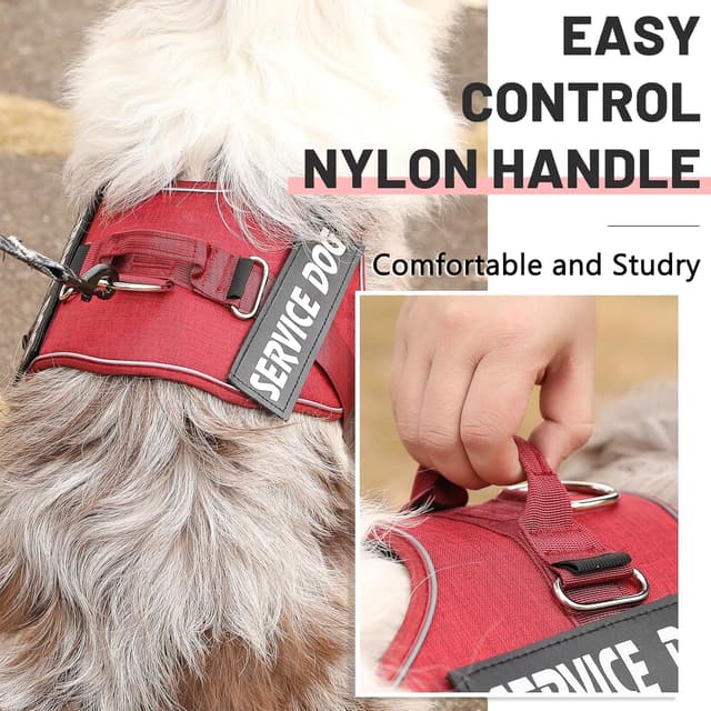Detalle de Belababy Service Dog Harness S, Adjustable