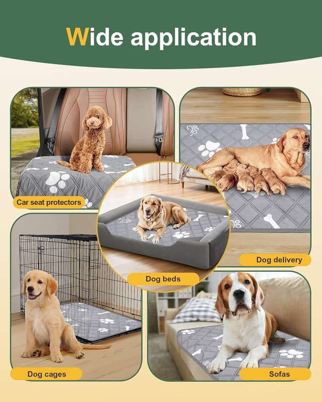 Thumbnail 5 de Gimars almohadillas entrenamiento perros 120x90