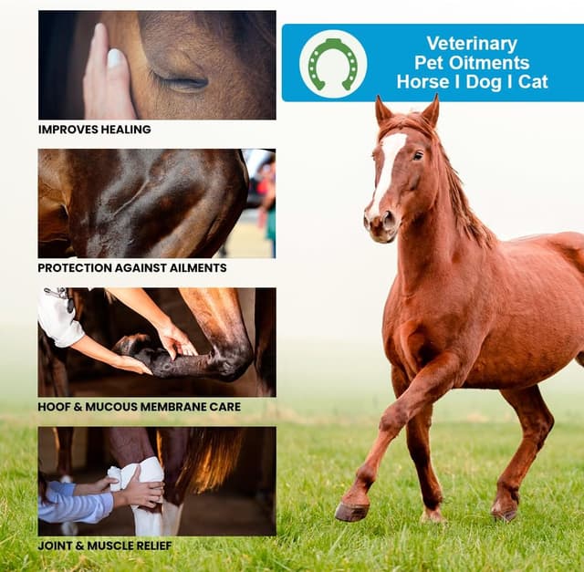 Thumbnail 6 de Arnica Gel FORTE concentrato 90% - 2,2 kg