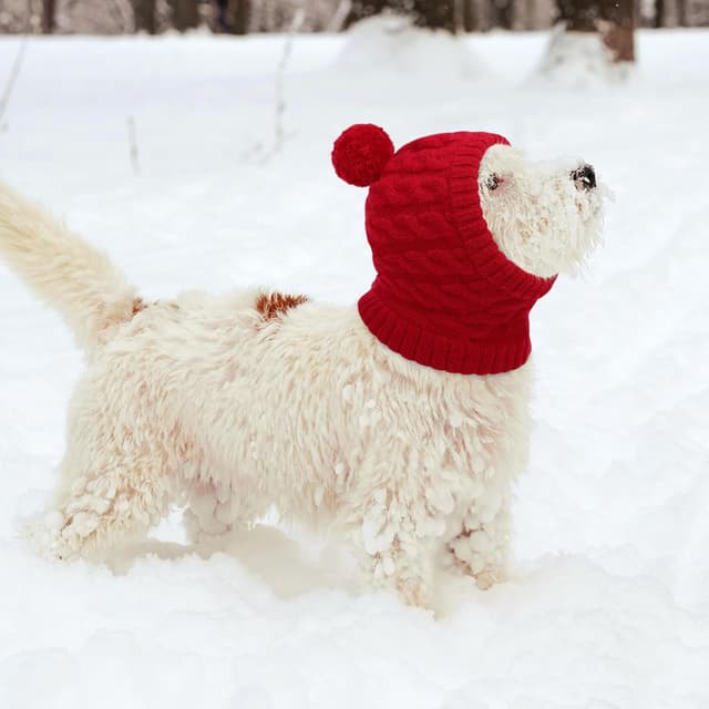 Thumbnail 6 de CITÉTOILE Weihnachtsmütze für Hunde – gestrickte Santa-Mütze mit Zopfmuster und Bommel (Rot, L)