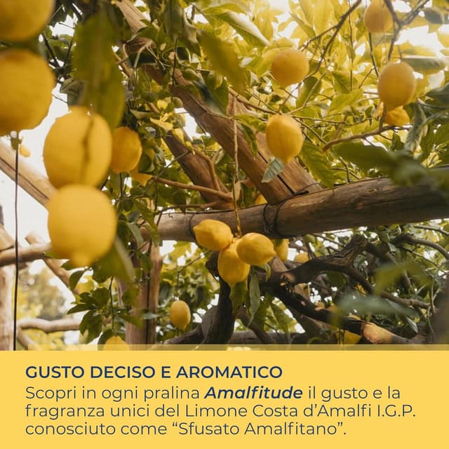 Detalle 2 de Perle di Sole ‘Amalfitude’ praline al limone Costa d’Amalfi I.G.P. con cuore cremoso e cioccolato fondente, 300 g
