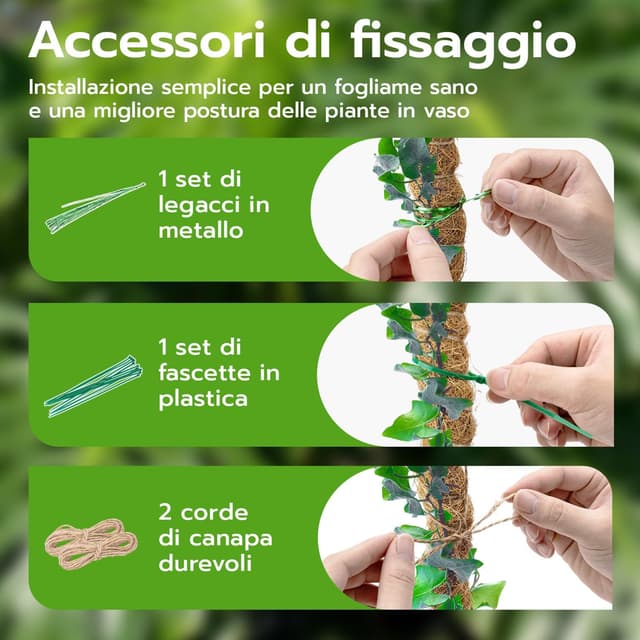 Detalle de Wigearss 2 pezzi bastoni di muschio in fibra di cocco (cocco coir moss pole) pieghevoli da 60 cm per piante rampicanti