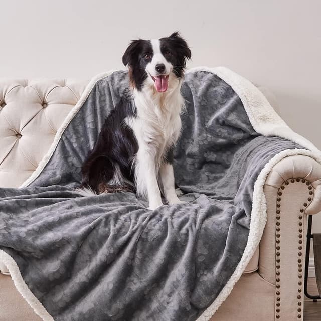 Imagen de Qeils Dog Blanket 60x80 for Large Dogs 🐾 en OfertitasTOP