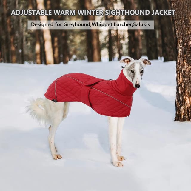Detalle 2 de babepet Greyhound Quilted Winter Coat (Adjustable) with Zipper Harness Hole & Reflective Trim