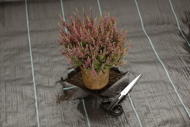 Thumbnail 4 de GardenMate Telo da giardino 2m x 5m 100g/m2