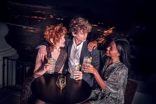 Thumbnail 7 de Seagram's Dry Ginebra Premium 1 L 🍸