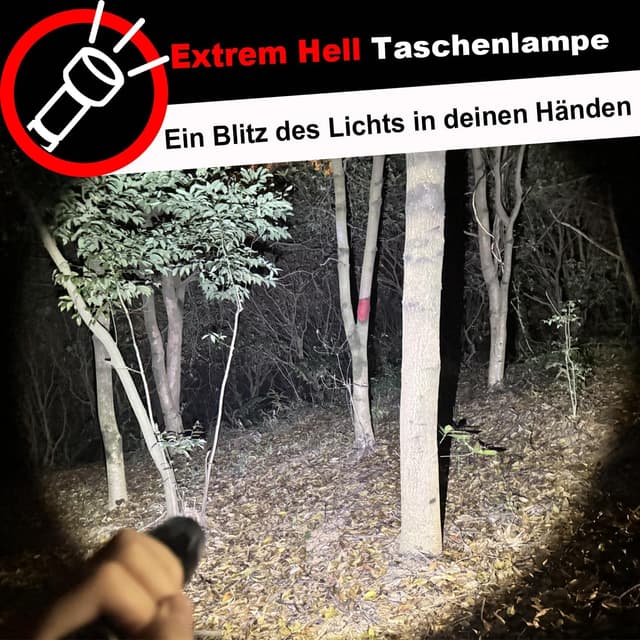 Detalle de HinsGEAR 1 Modus Taschenlampe (4er-Set) – extrem helle LED-Handlampe aus Aluminium, IP65, zoombar