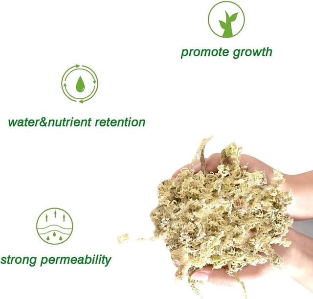 Thumbnail 2 de Halatoo Sphagnum Moos 170 g für Orchideen und Pflanzen