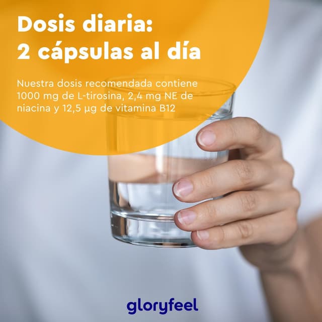 Thumbnail 6 de L-Tirosina 365 Cápsulas - Energía y bienestar mental 💪