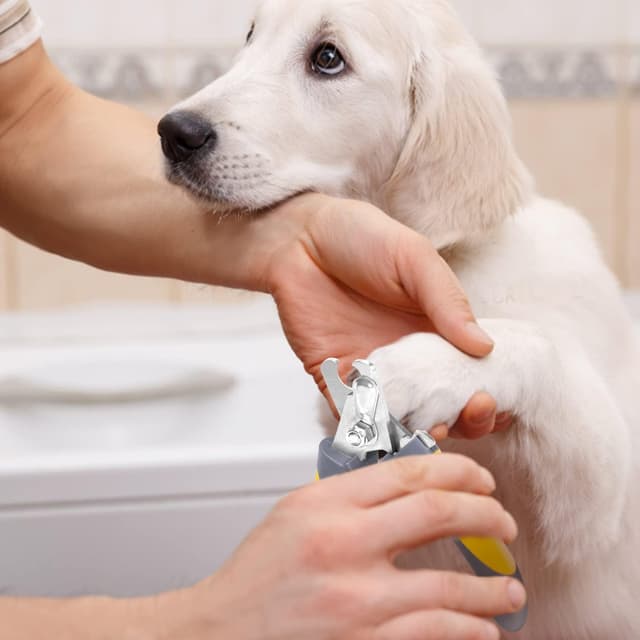 Thumbnail 6 de Nobleza Coupe-ongles chiens et chats ✂