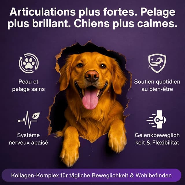 Detalle 2 de Dr. Flex Complexe Collagène & Vitamines B pour chien en poudre 300 g
