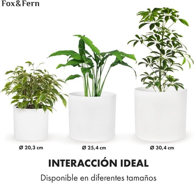 Thumbnail 3 de Fox&Fern Maceta Grande para Interior y Exterior