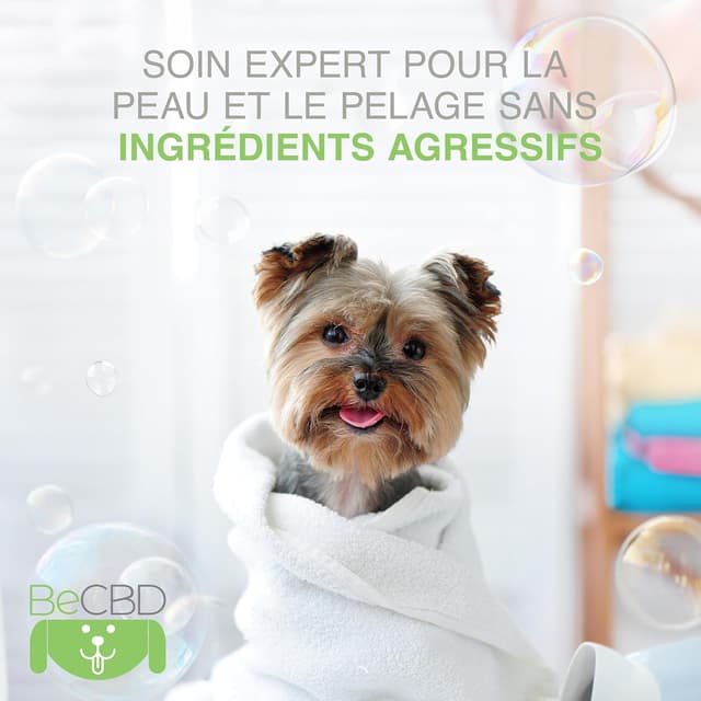 Thumbnail 4 de BeCBD Shampoing Chien 250 ml