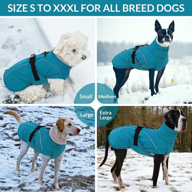 Thumbnail 4 de Queenmore XL Dog Coat Waterproof puffy jacket