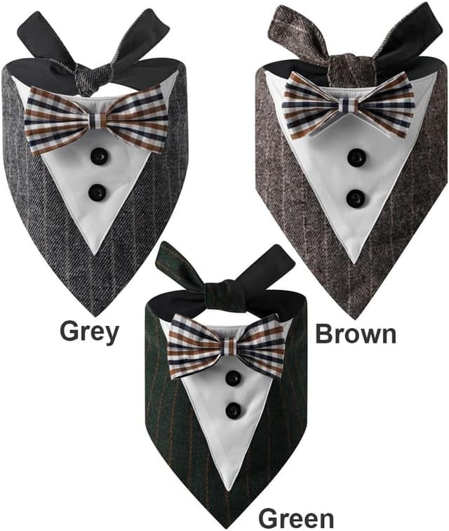 Thumbnail 6 de BT Bear Tuxedo Collar Bandana Bow Tie