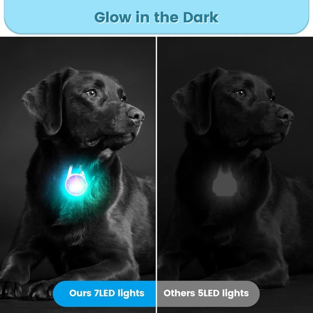 Thumbnail 2 de Hund Lichter 2er-Pack 80LM für Nachtspaziergang