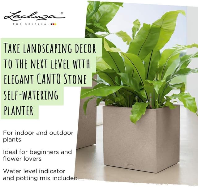 Thumbnail 1 de Lechuza Cube Triple Rosso 13672