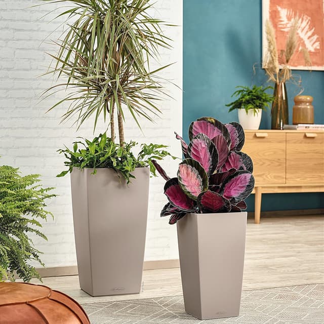 Thumbnail 5 de Lechuza CUBICO Color 30 Komplettset sandbraun