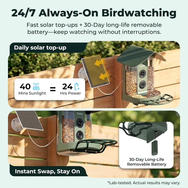 Detalle de Beako Smart Bird Feeder 4K Camera