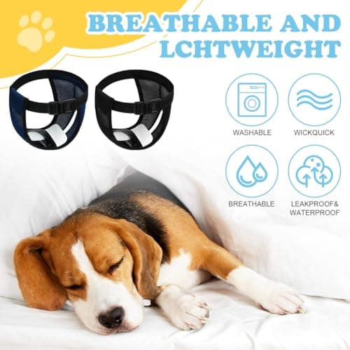 Thumbnail 3 de Aomig Pannolini per cani femmina Riutilizzabili M con 6 cuscinetti