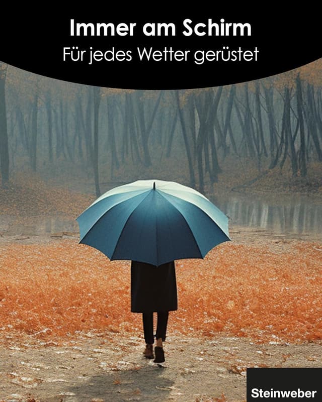 Detalle de Steinweber Airbrella intelligenter Regenschirm mit AirTag-Versteck – sturmfest & wasserdicht, 98 cm Länge