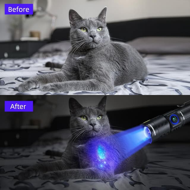 Detalle de DARKBEAM UV 365 nm, lampe UV