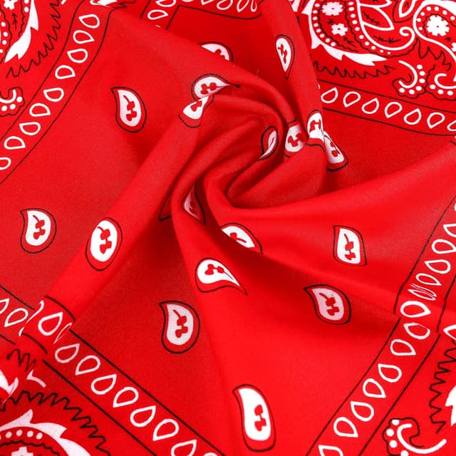 Thumbnail 2 de ISIYINER Paisley Bandanas 12-pack neck scarves 🎀