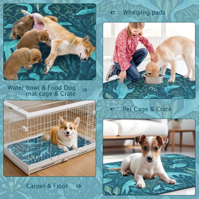 Thumbnail 3 de BVAGSS XH081 60x45 cm tappetini assorbenti per cani 🐾