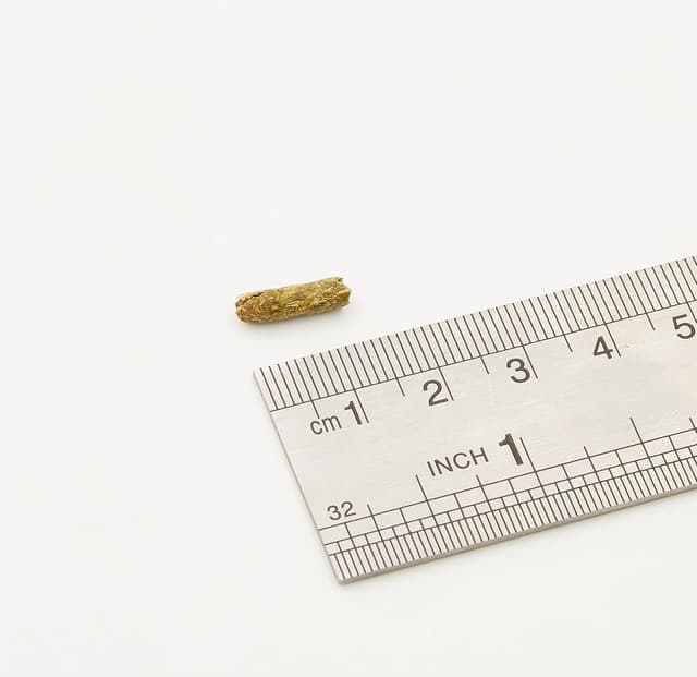 Thumbnail 3 de Petlife Oxbow Cavy Cuisine 2,2 kg